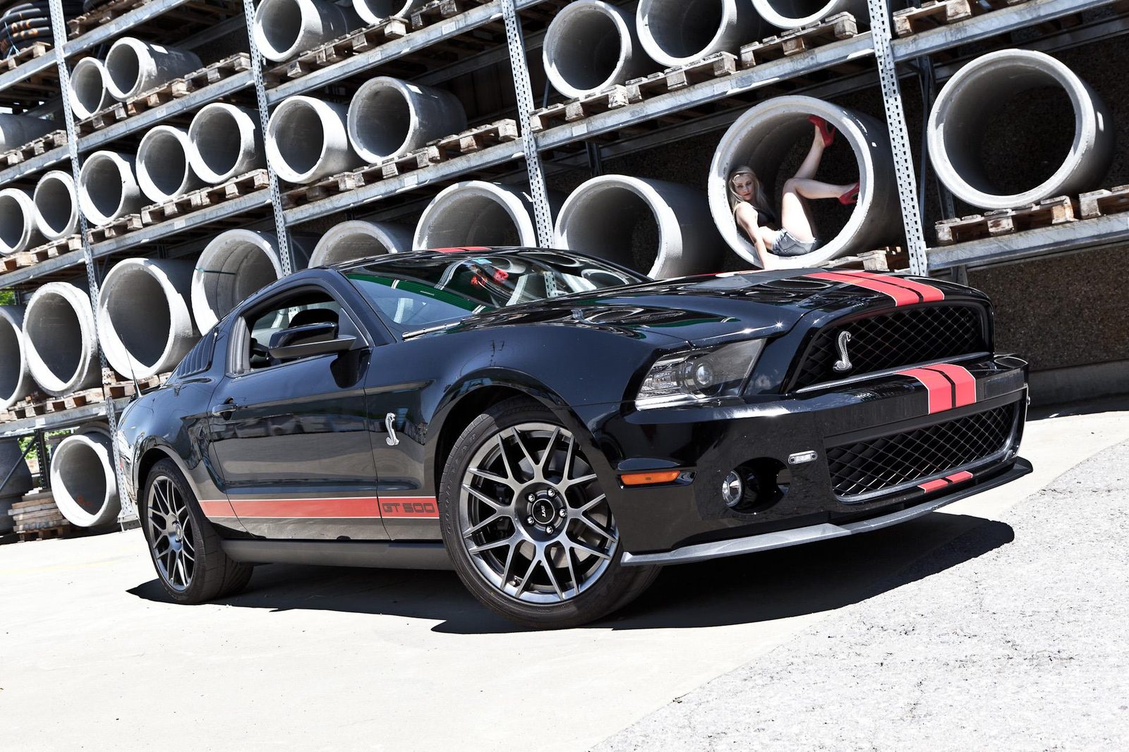 Cobra-Emblem des Ford Mustang Shelby GT500 SVT in Rot