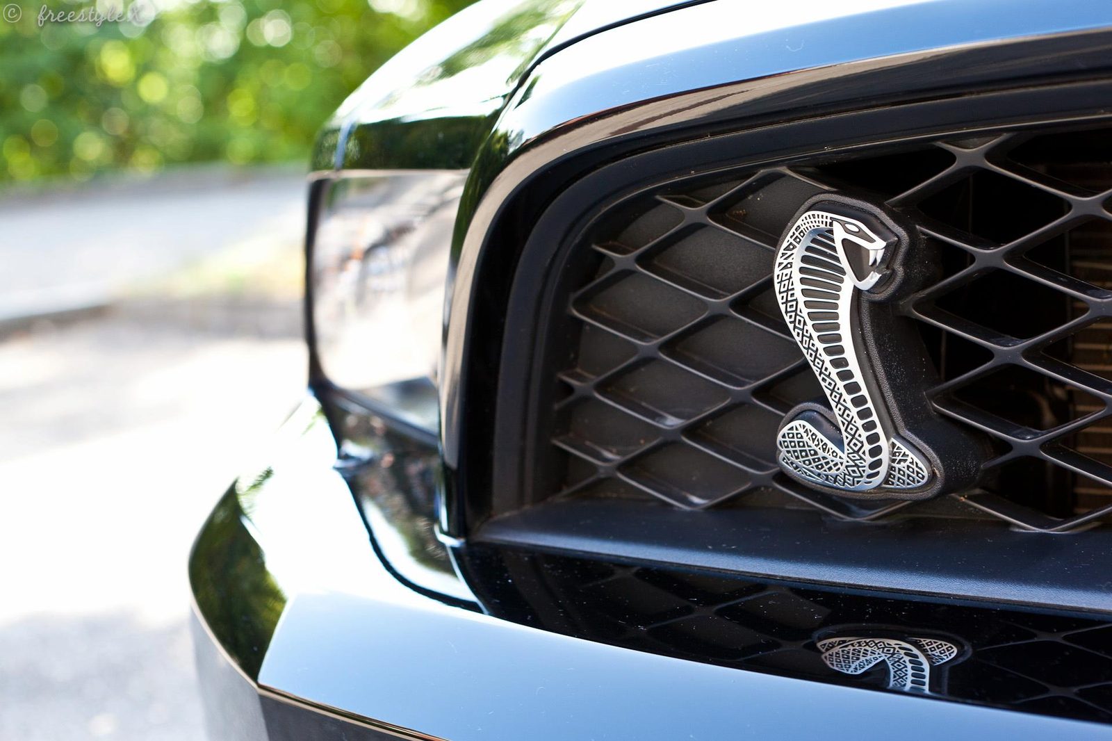 Recaro-Sportsitze des Shelby GT500 mit roten Akzenten