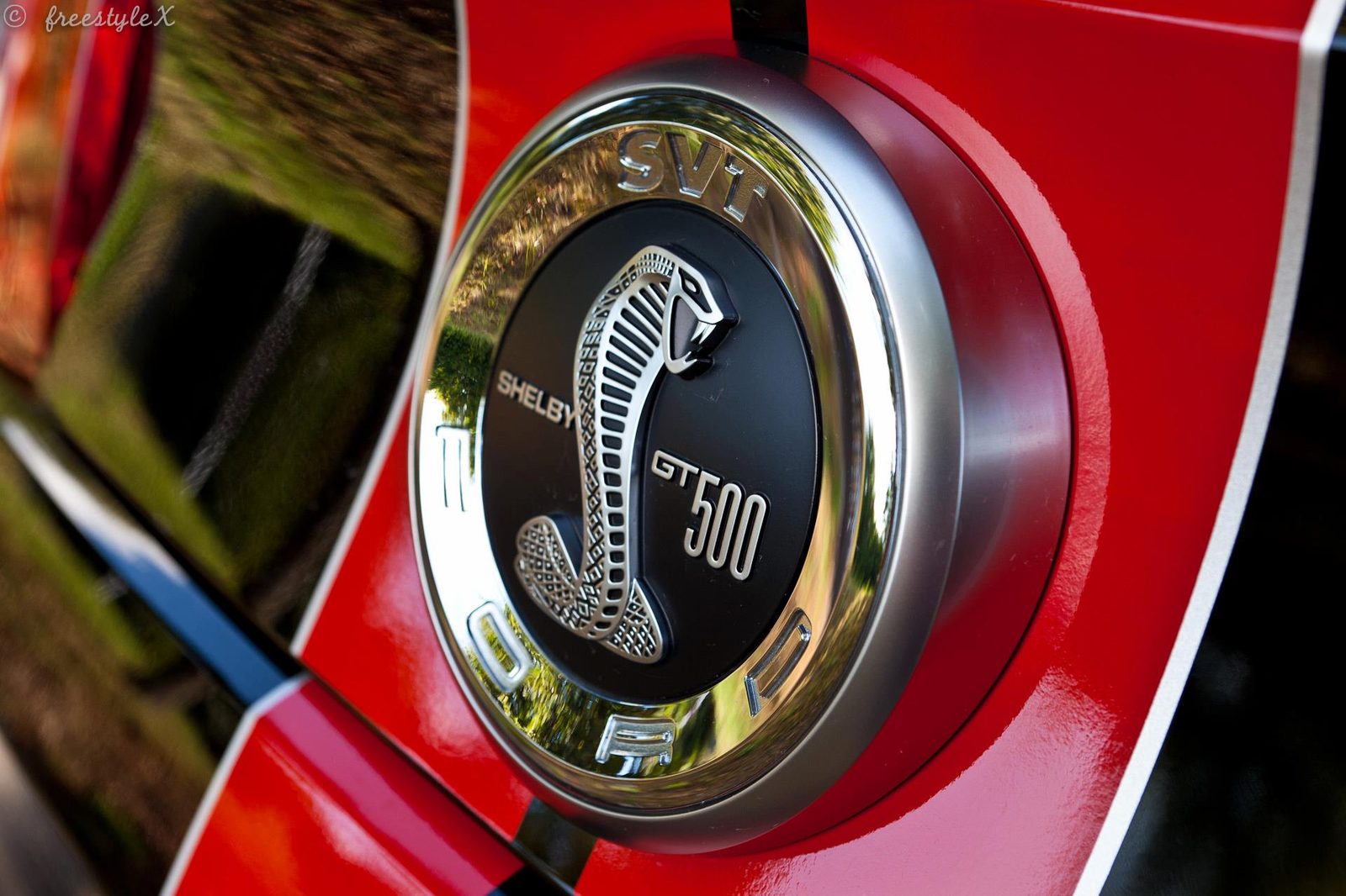 Cobra-Grill-Emblem des Shelby GT500
